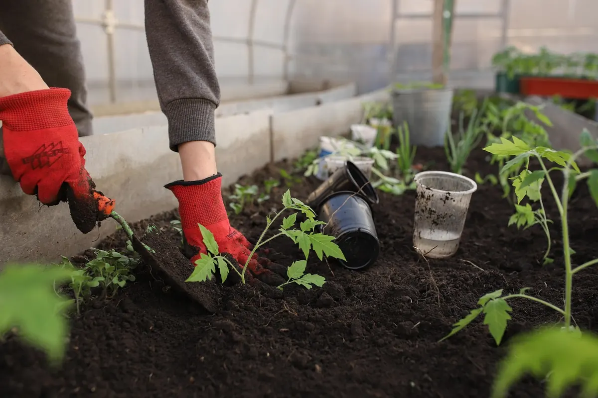 How to Plan a Manor Kitchen Garden: A Beginner's Guide to Potager Beds and Heritage Crops